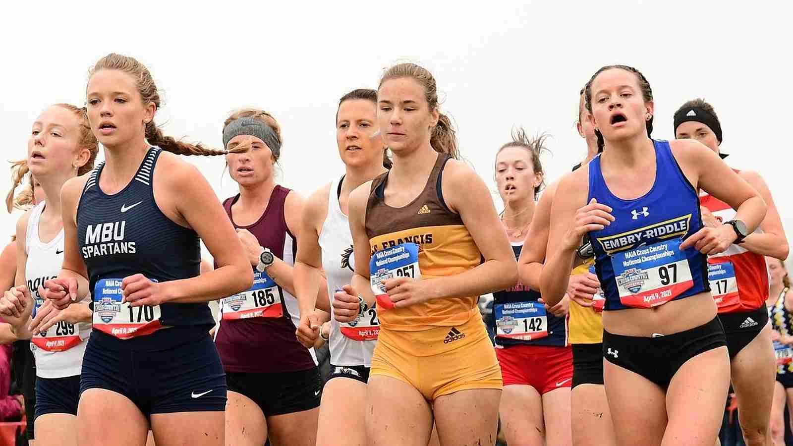 Naia Cross Country Championship 2024 Results Lanny Modesty