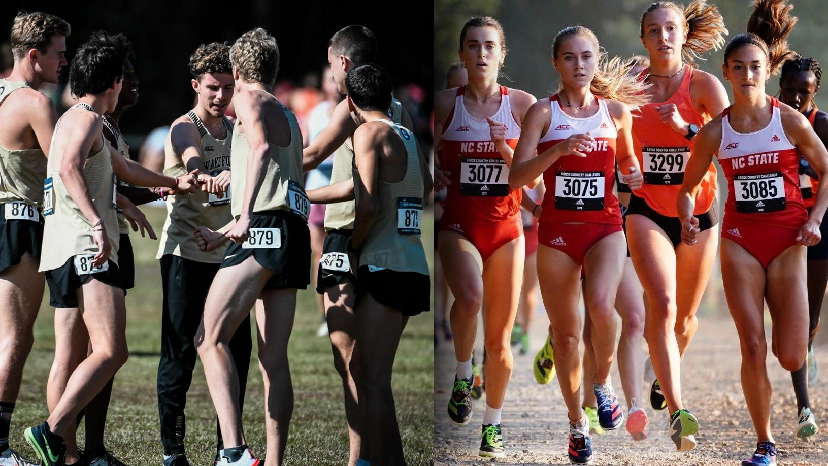 When is the 2022 Southeast Regional Cross Country Championships and how