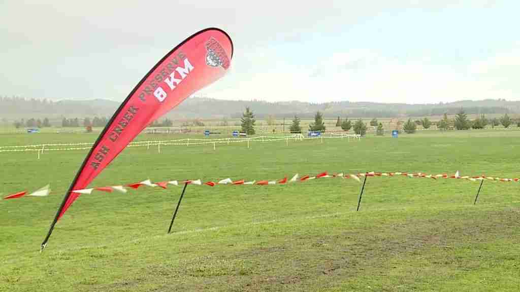 How to follow the NCAA Division II Region Cross Country Championships